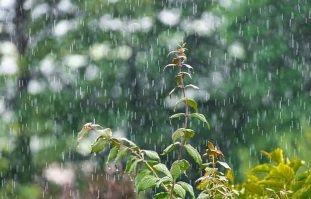 Ogan Ilir dan 11 Wilayah Sumsel Diperkirakan Bakal Hujan Hari ini 