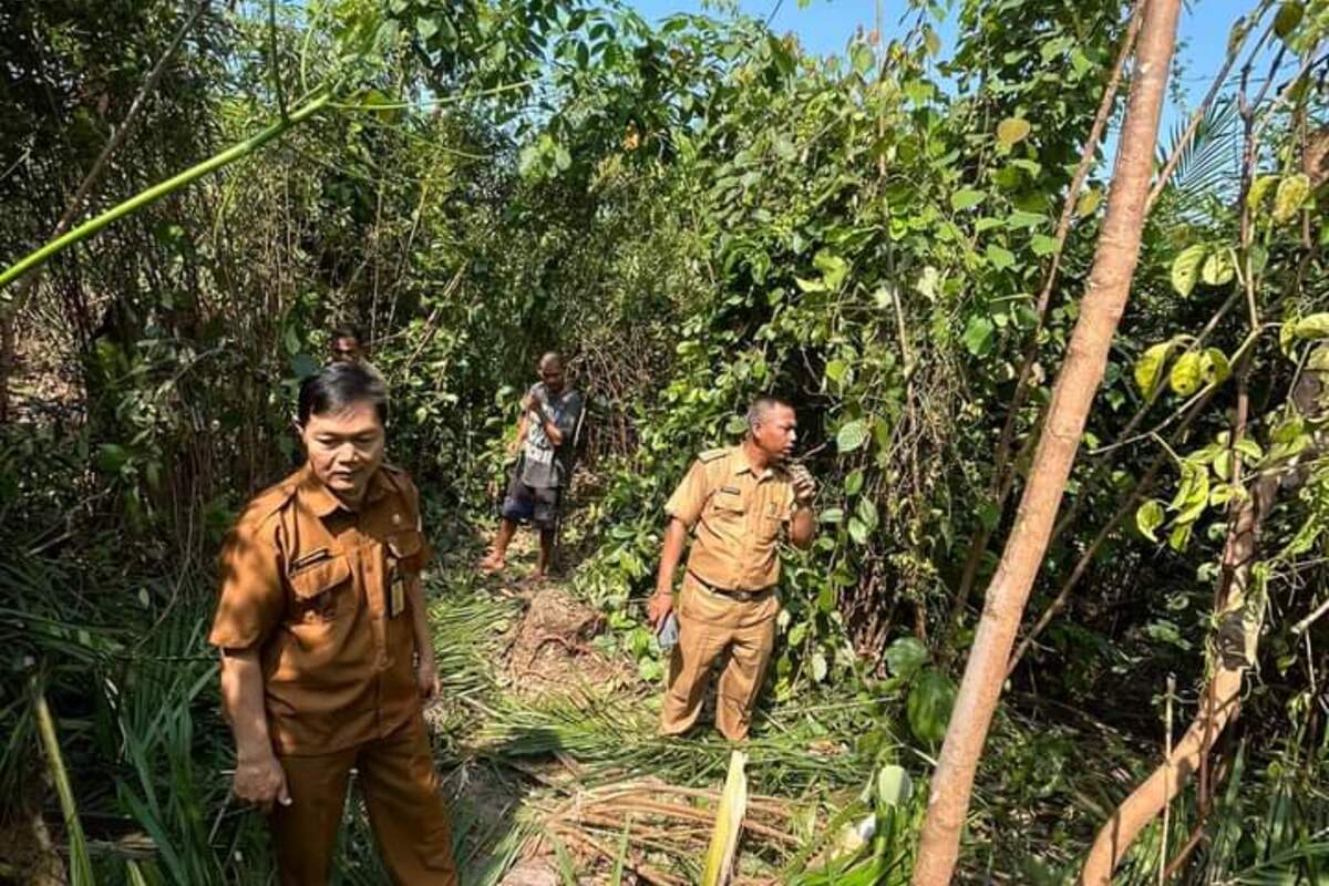 Gajah Liar Kembali Muncul di Muratara