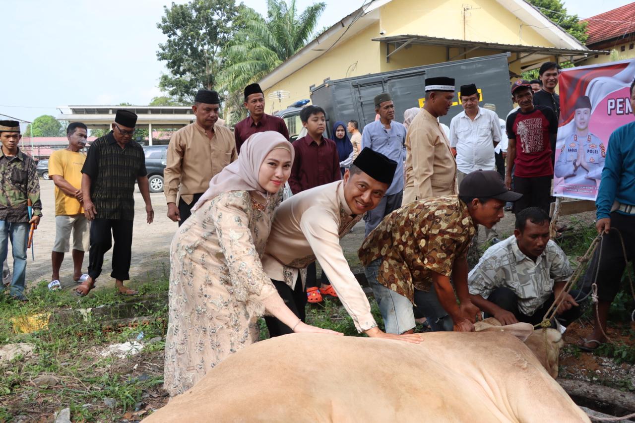 Idul Adha 1446 H ,Polres Ogan Ilir Sembelih 9 Ekor Sapi, Untuk Personel dan Warga