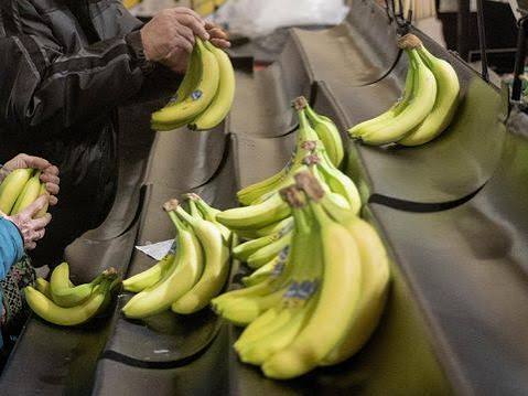 Simak! Ini 7 Makanan yang Menetralkan Asam Lambung Secara Alami