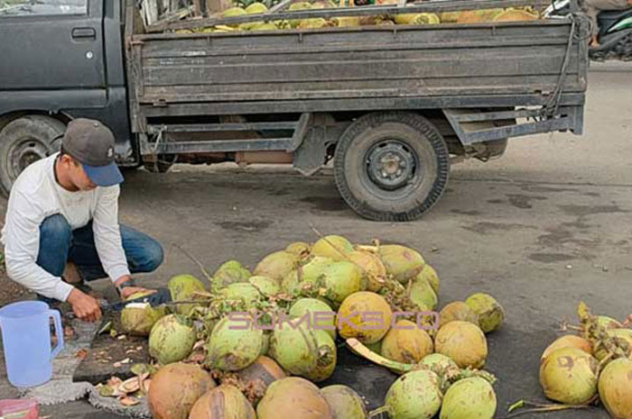 Ini 6 Manfaat Minum Air Kelapa Muda, Nomor 3 Menyerap Racun Dalam Tubuh