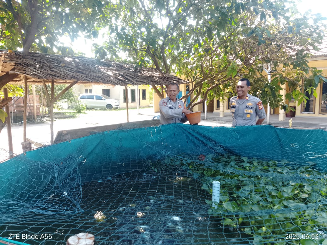 Polsek Pemulutan Kembangkan Budidaya Ikan  Patin