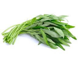 Simak! Begini Cara Menyimpan Kangkung Agar Tak Cepat Layu