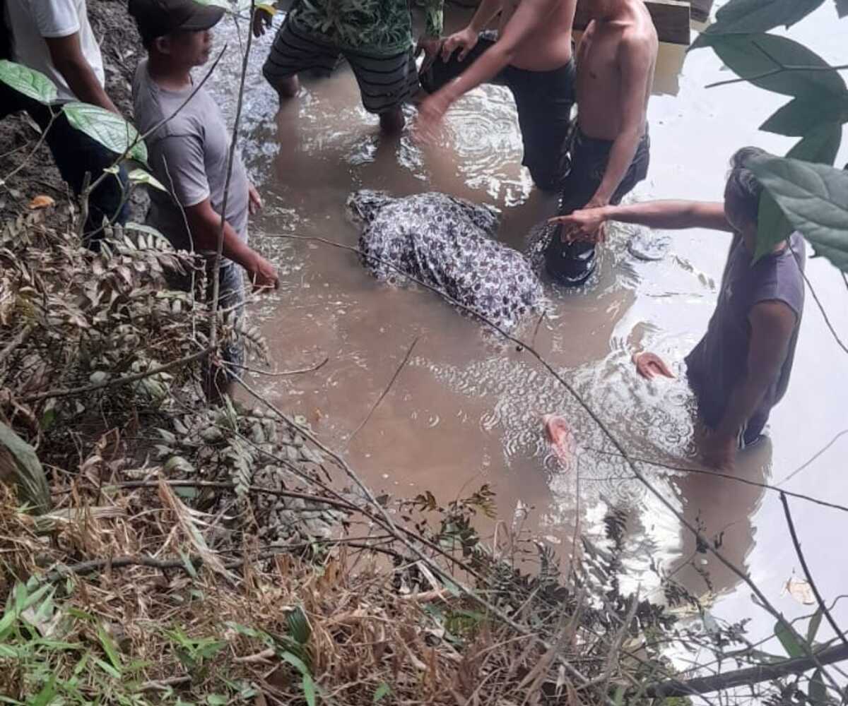 Hilang dari Rumah, IRT Ditemukan Meninggal di Sungai Megang