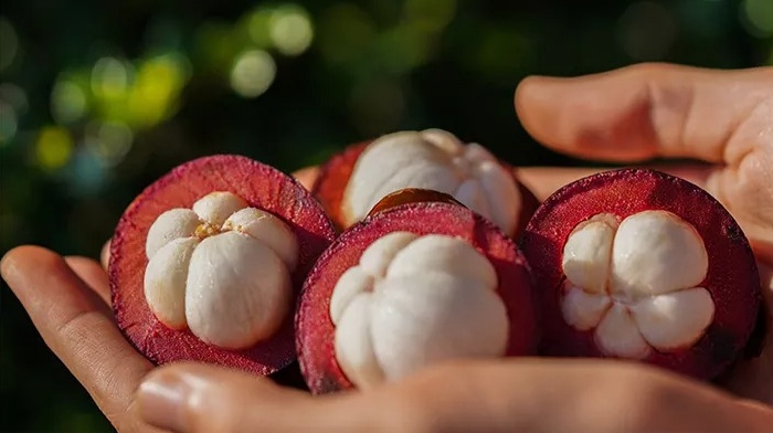 3 Manfaat Buah Manggis, Bantu Jaga Kesehatan Pencernaan