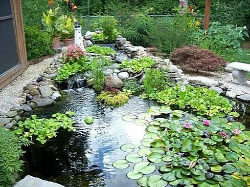 Inilah 6 Jenis Tanaman Air Terbaik untuk di Kolam Ikan Rumahmu