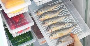 Simak! ini Masa Simpan Ikan Di Kulkas Agar Tetap Segar dan Aman Dikonsumsi