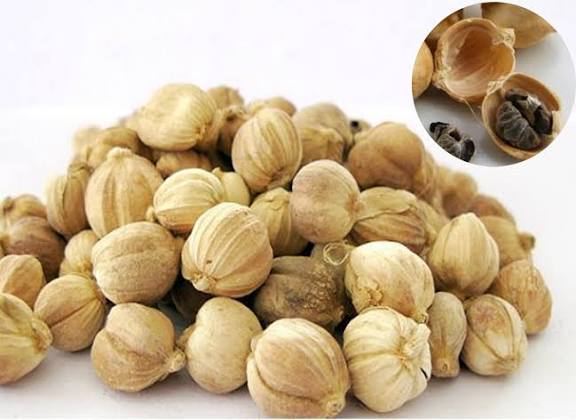 Inilah 5 Manfaat Kapulaga bagi Wanita yang Jarang Diketahui