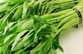 5 Tips Menyimpan Kangkung agar Tetap Segar dan Tidak Mudah Layu