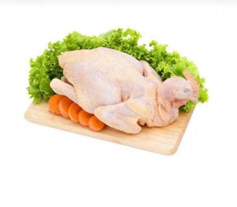 Kenapa Daging Ayam Kampung Lebih Sehat? Simak Disini Faktanya