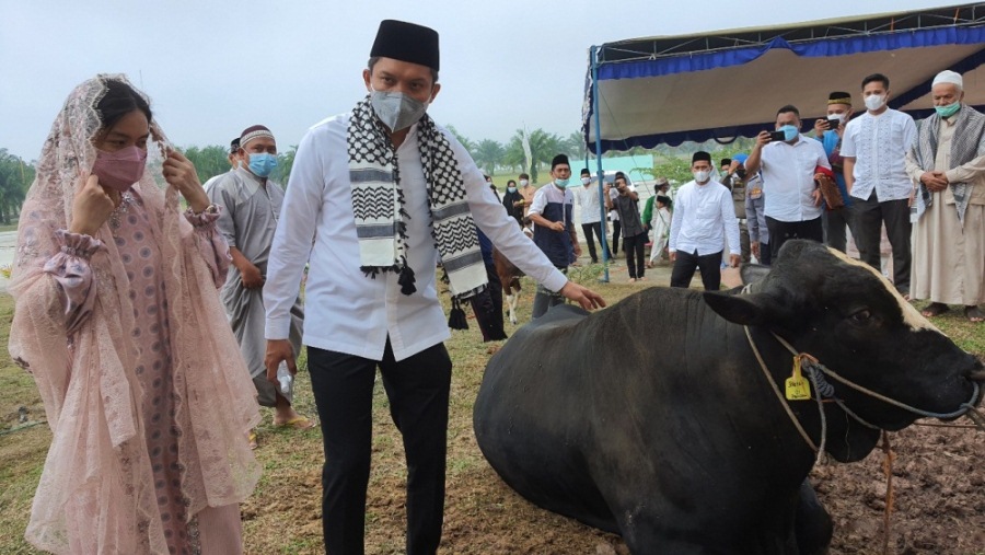 Jemaah Masjid Agung An-Nur Kurban 6 Sapi, Satu Di Antaranya Bupati Ogan Ilir 