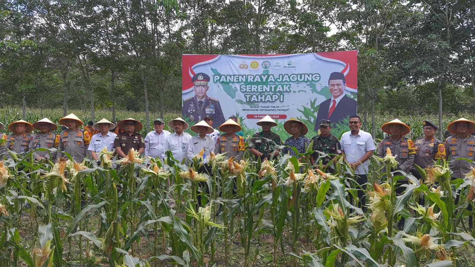 Kapolda Sumsel Ikut Panen Raya Jagung Serentak di Ogan Ilir