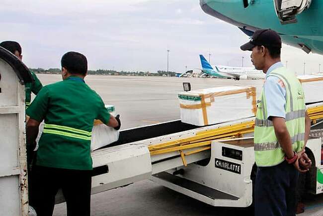 2 Kg Ganja Gagal Masuk Berkat Kejelian Petugas Kargo Bandara SMB II Palembang, Disamarkan Kerupuk Kemplang 