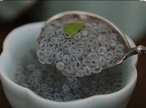 Inilah 6 Khasiat Biji Selasih dan Cara Konsumsinya