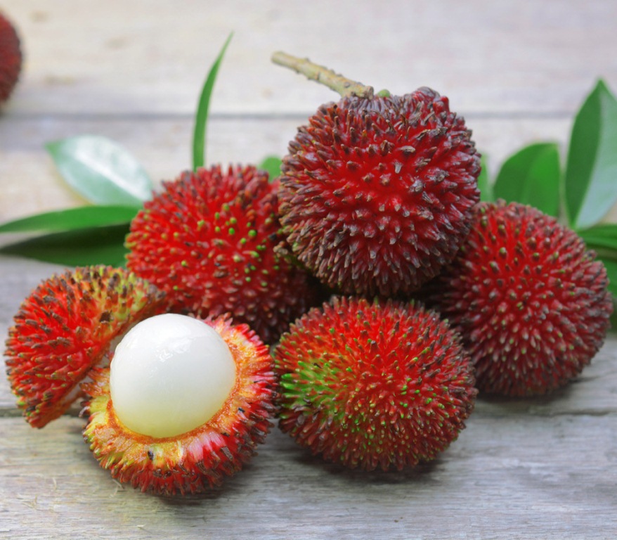 Musim Rambutan, Mari Kita Kenali Jenis Buah Rambutan