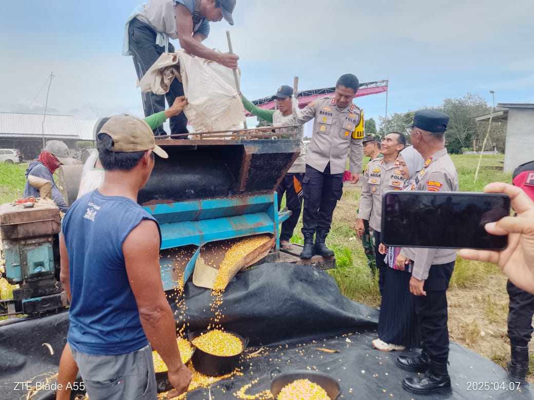 Polsek Rantau Alai Panen Raya Jagung, Dihadiri Kapolres Ogan Ilir