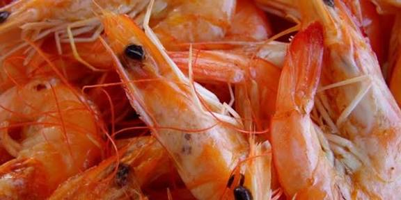 Simak! Inilah Bagian Udang yang Boleh dan Tidak Boleh Dikonsumsi