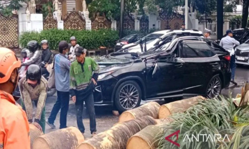 Ajal Menjemput, Pengemudi Lexus Tewas Tertimpa Pohon Tumbang di Pondok Indah