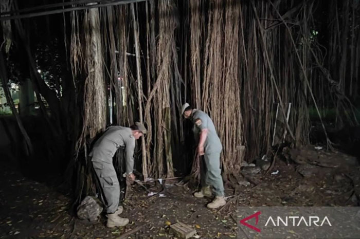 Satpol PP Jaktim Temukan  Alat Kontrasepsi di Hutan Kota UKI