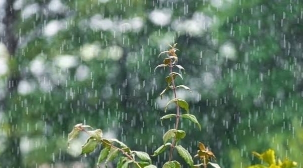 Ogan Ilir dan 10 Wilayah Sumsel Diperkirakan Bakal Hujan ini
