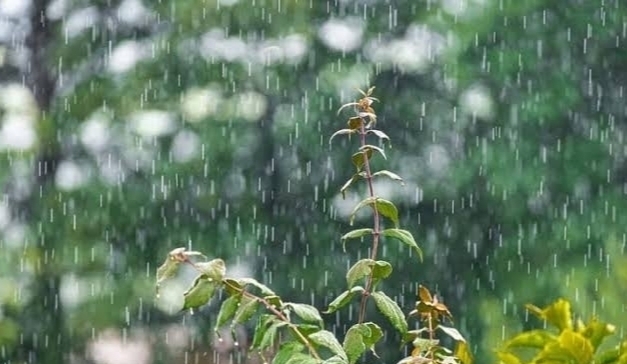 11 Wilayah Sumsel Diperkirakan Bakal Hujan Hari ini