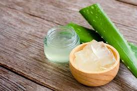 Simak! 4 Manfaat Aloe Vera untuk Kesehatan Selain Bikin Kulit Sehat  