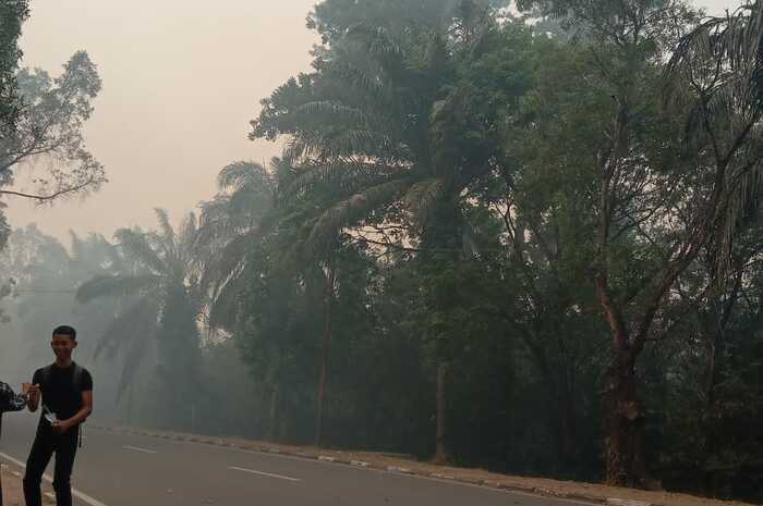 Hutan Lanud Srimulyono Herlambang Terbakar, Helikopter Wara Wiri Lakukan Water Bombing