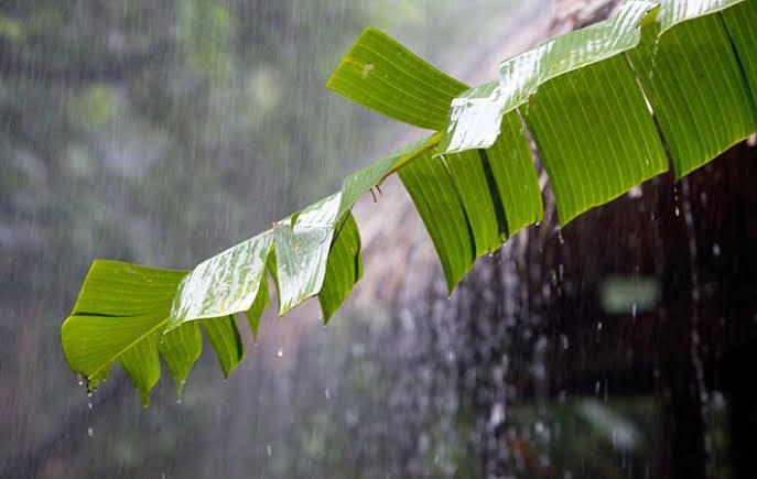 Ogan Ilir dan 9 Wilayah Sumsel Diperkirakan Bakal Hujan Hari ini 