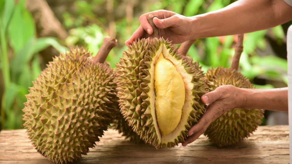 6 Manfaat Buah Durian Bagi kesehatan, Nomor 2 Pria Wajib Baca