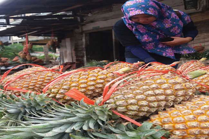 Anda Ingin Diet? Konsumsi Jus Nanas Campur Mangga