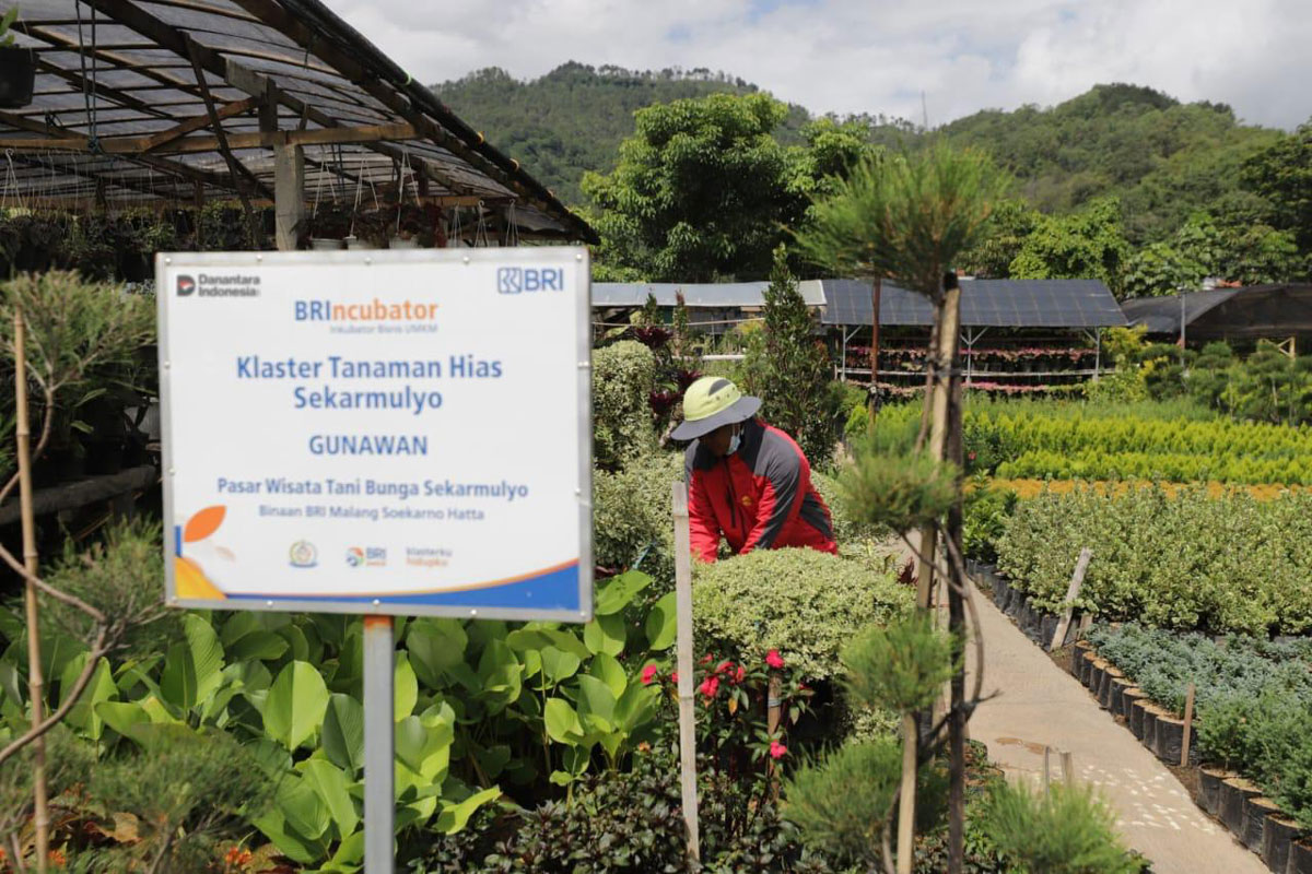 Program Klasterku Hidupku BRI, Dorong Pelaku Usaha Tumbuh Bersama