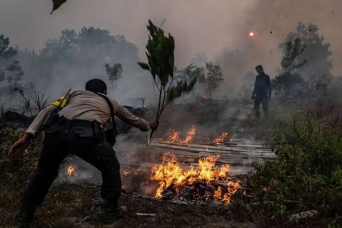 Terdapat 23 Titik Api di Banyuasin