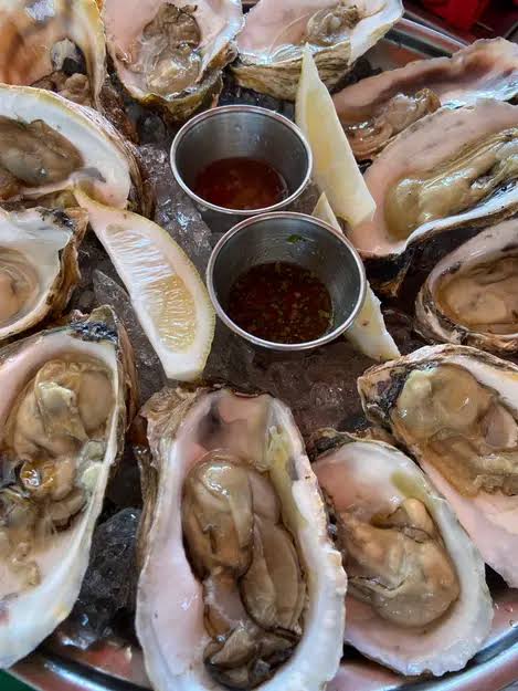 Ini Manfaat dan Bahaya Konsumsi Oyster Bagi Kesehatan Tubuh