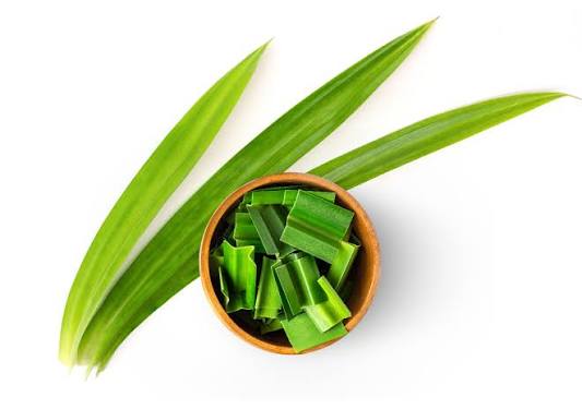 Simak! Ini Beragam Manfaat Daun Pandan
