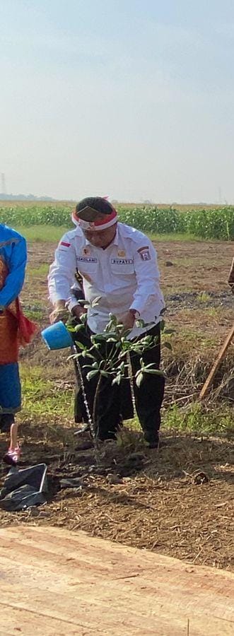 Bupati Banyuasin Luncurkan Gerakan Kawasan Buah