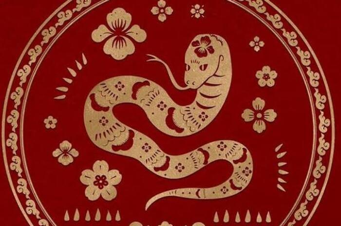Misterius dan Ambisius, inilah 8 Karateristik Shio Ular Dalam Astrologi Tionghoa