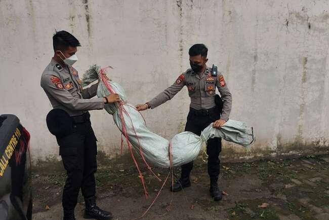 Seram, Sosok Pocong Bikin Pengendara Resah, Berdiri di Rimbun Pohon Bambu yang Minim Penerangan 