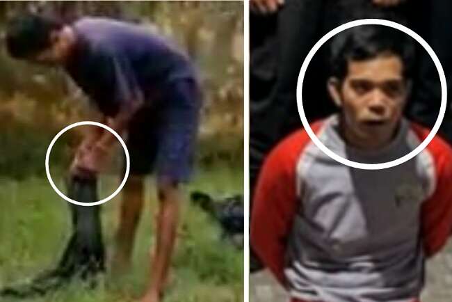 Yayang Yoyok Pembunuh Pedagang Sapi di Musi Rawas, Baca Berikut Kronologi Pembunuhan Ruswanto