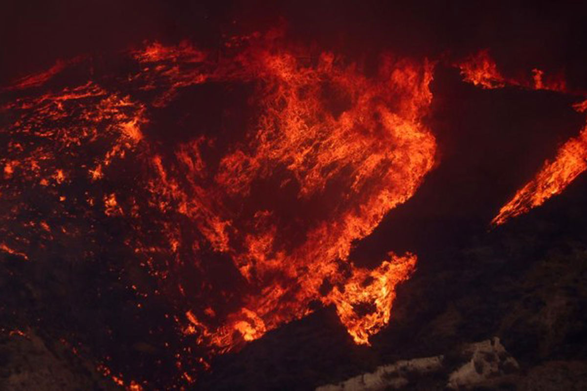 Hutan Los Angeles Belum Aman, Muncul Kebakaran Baru di Kawasan Danau Castaic