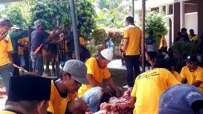 Wujud Syukur, Ketua KORMI Palembang Kurban 11 Ekor Sapi