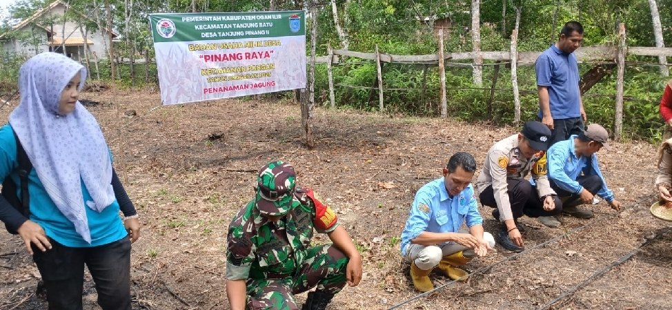 Polsek Tanjung Batu Polres Ogan Ilir Tanam Jagung 1 Ha di Desa Tanjung  Pinang  II