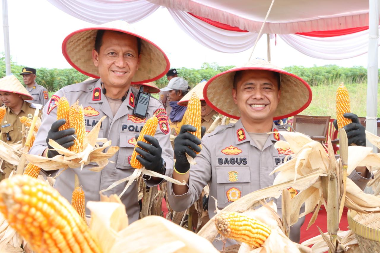 Polres Ogan Ilir Panen Raya Jagung 24 Ton, Program Ketahanan Pangan 2025