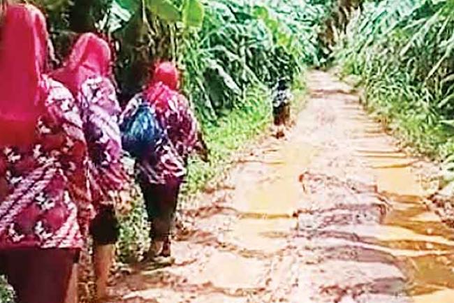 Kisah Guru-guru di Pedalaman Sumsel, Gaji Kecil Susuri Medan Berat Berlumpur Menuju ke Sekolah Tiap Hari 