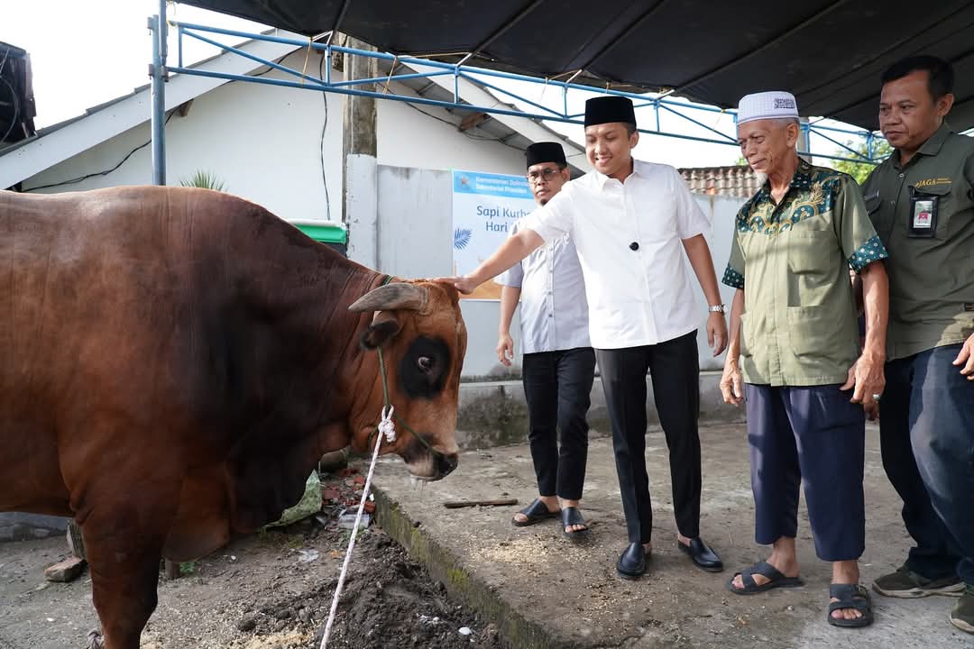 Bupati Panca Serahkan  Sapi Qurban dari Presiden  Prabowo  Ke Masjid Al Kubro 