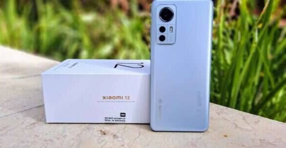 Spesifikasi dan Harga Terbaru Xiaomi 12, Layar Super AMOLED dengan Chipset Snapdragon 8 Gen 1