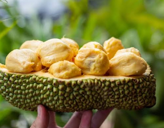 Catat, ini 4 Manfaat Buah Cempedak Bagi Kesehatan