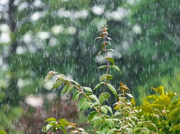 10 Wilayah Sumsel Diperkirakan Bakal Hujan Hari ini 
