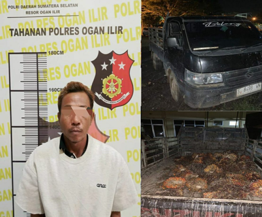 Pencuri Ditangkap Pemilik Kebun, Diserahkan ke Polres Ogan Ilir