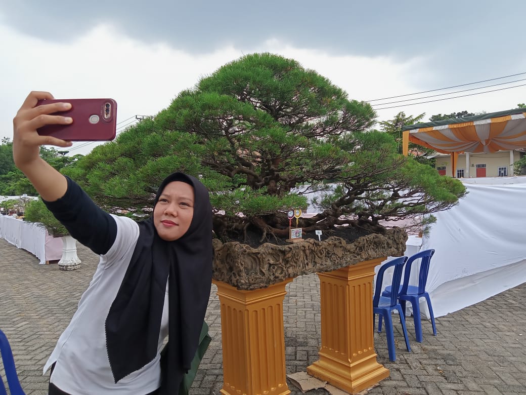 Sambut HUT Kota Prabumulih ke-22, 300 Tanaman Bonsai Hiasi Pelataran Citimall