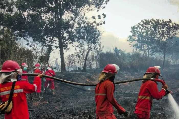 Sukaduka Petugas Pemadam Karhutla, 20 Hari Baru Ketemu Keluarga